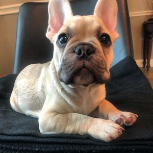 Meet your Posher, Brandy